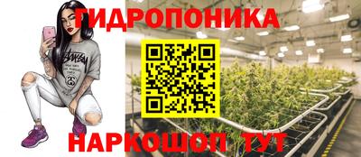 тгк Сланцы