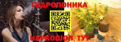 тгк Славгород