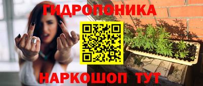 a pvp Славянск-на-Кубани