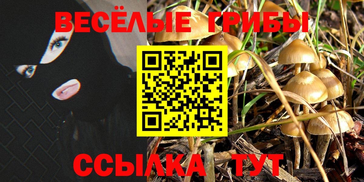 Галлюциногенные грибы ЛСД  Галлюциногенные грибы Cubensis  Вход с VPN  Можайск 