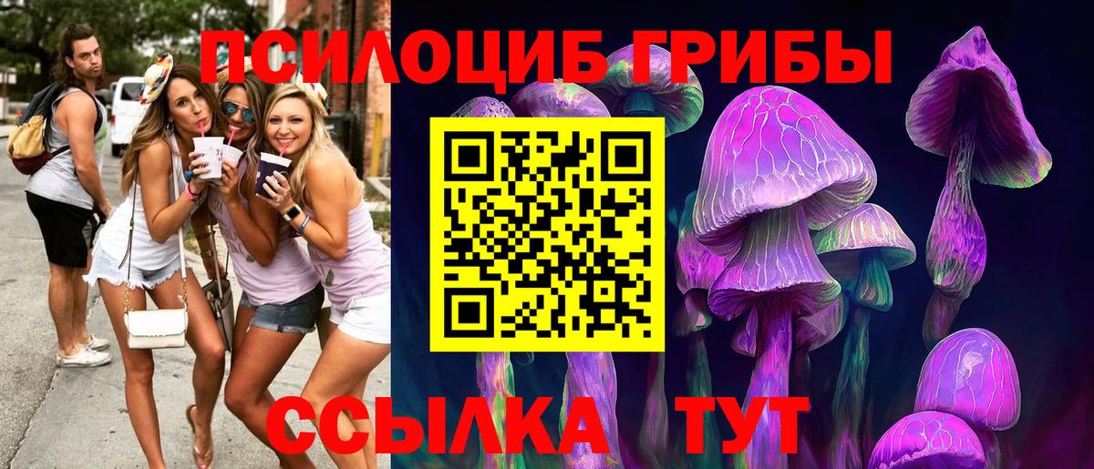 Псилоцибиновые грибы MAGIC MUSHROOMS Можайск